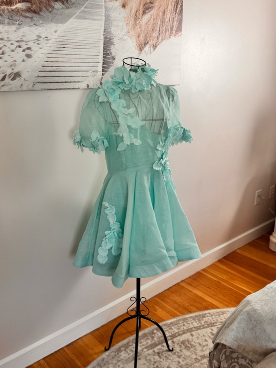 Zimmermann Dresses & Skirts - Zimmermann Mint Green Floral Applique Dress US size 4